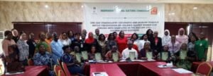 Read more about the article Stakeholders want Electoral Act strengthened to address election violence against women 