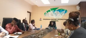 The NEPC Executive Director, Nonye Ayeni presenting the non-oil export performance for the year 2023 in Abuja on Thursday.