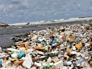 Read more about the article Lagos bans styrofoam, single-use plastics