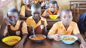 Read more about the article School feeding: Presidential aide commends Tinubu on N100bn allocation