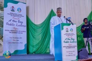 Read more about the article $750m NG-CARES programme, a remarkable support mechanism for states – Bagudu