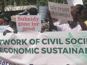 Read more about the article Network of CSOs rally support for Tinubu’s economic policies