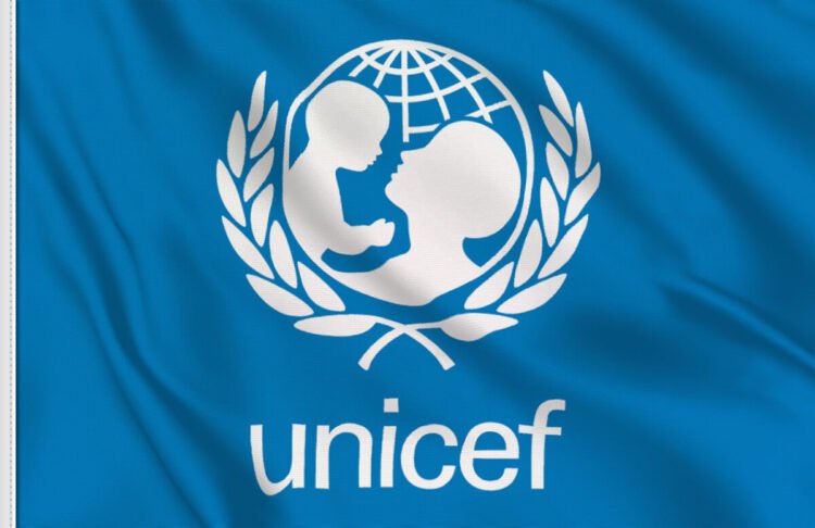 Read more about the article Stakeholders laud UNICEF’s interventions to end FGM in Imo