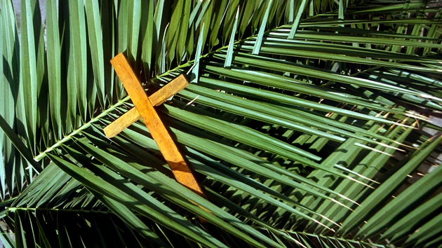 Read more about the article Palm Sunday: Be humble, peaceful, cleric urges Christian faithful