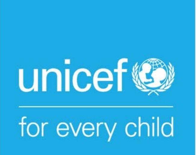 Read more about the article Multiple micronutrient supplementation will reduce maternal, child mortality — UNICEF