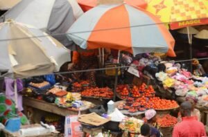 Experts proffer solutions to rising inflation