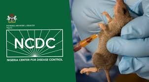 Read more about the article Lassa fever: NCDC registers 1 death, 15 new cases in 1 week