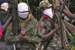 Read more about the article Gunmen attack Benue governorship aspirant, household while returning from farm