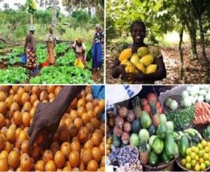 Agriculture stakeholders recommend more investment in post-harvest management