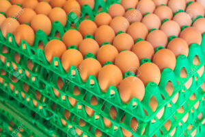 Crates of egg