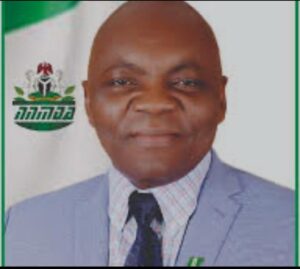 WHO appoints Nigeria’s Prof. Emeje to traditional medicine advisory group