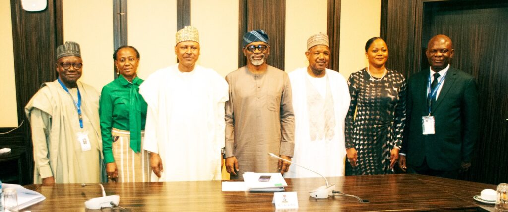 Tinubu inaugurates national census committee, gives 3-week deadline for report