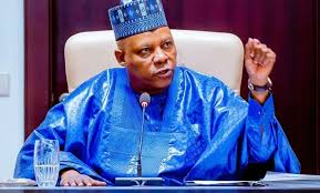 Peace key to unveiling rich cultural heritage – Shettima