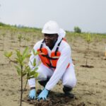 Assessing HYPREP’s clean-up mandate in Ogoniland
