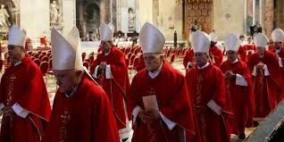 Cardinals gather to elect new pope in secretive conclave