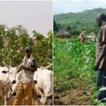 Police, stakeholders agree to tackle farmer-herders conflicts in Adamawa