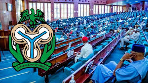 Be mindful of unintended consequences of high interest rates, Reps tell CBN