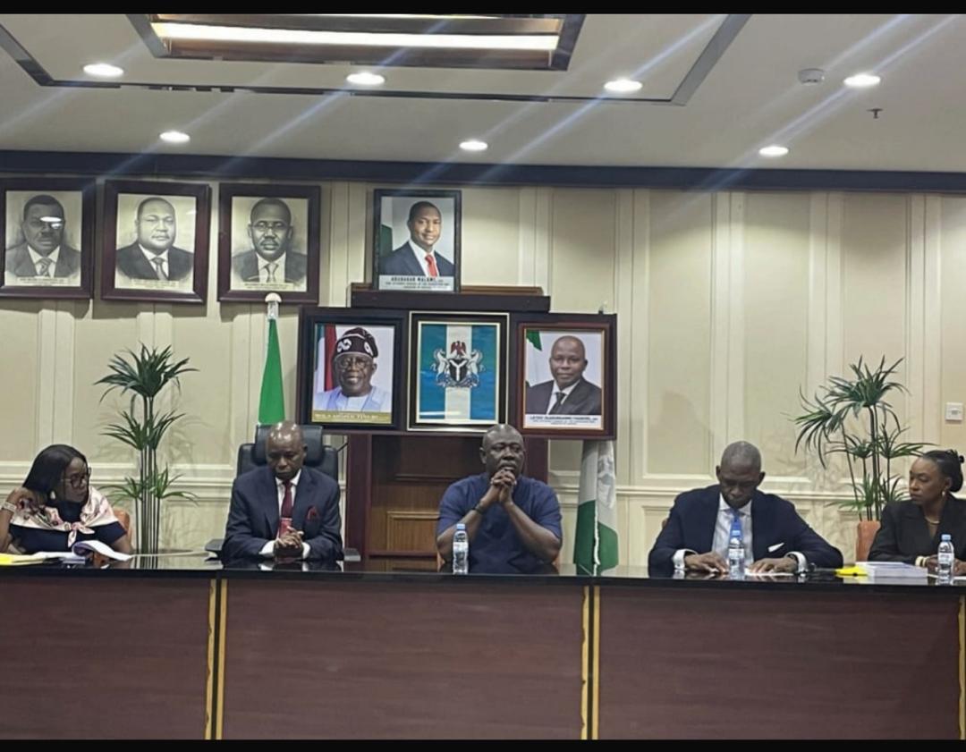 Committee submits audit report on Accelerated Gas Development Projects