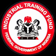 ITF trained 29,000 youths in various skills in 2024, says D-G.