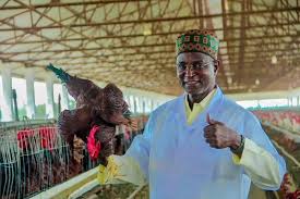 Livestock ministry to empower 1,000 youths per state