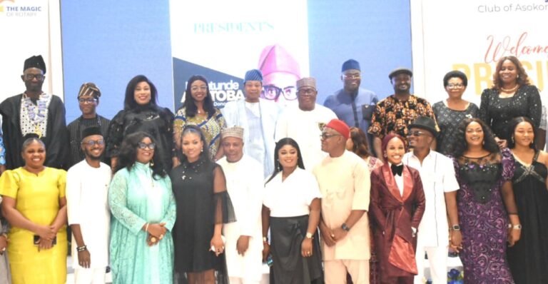 Achieving peace not just about wielding guns – Jonathan