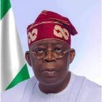 X-Raying Tinubu’s foreign policy after two years