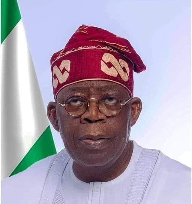 X-Raying Tinubu’s foreign policy after two years