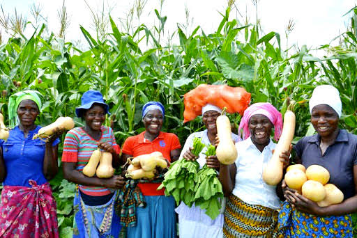 Stakeholders urge climate action for rural women farmers
