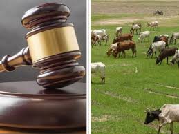 Taraba community seeks strict enforcement of open grazing prohibition law