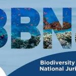New ocean treaty holds economic, environmental promise for Nigeria – Expert