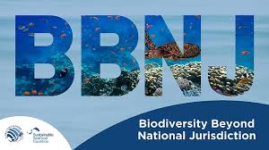 New ocean treaty holds economic, environmental promise for Nigeria – Expert
