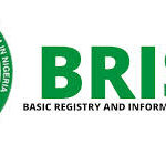 Centralised data key to tackling insecurity, economic woes – BRISIN