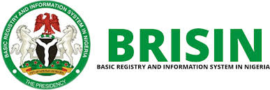Centralised data key to tackling insecurity, economic woes – BRISIN