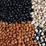 Beans price crashes by over 100% amid increased yields