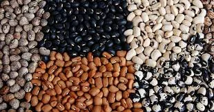 Beans price crashes by over 100% amid increased yields
