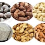 Agribusiness: Farmers’ group to boost processing of Nigerian raw cashew nuts