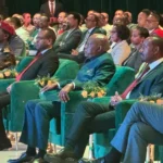 Shettima urges urgent global climate action