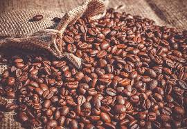 Agripreneur advises Nigerians to embrace creativity for economic revival