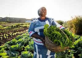 FG assures farmers of security support