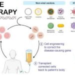 Sickle cell: Expert urge govts to invest in local manufacturing of gene therapy