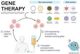 Health experts emphasise need to adopt gene therapy for treatment of sickle cell diseases