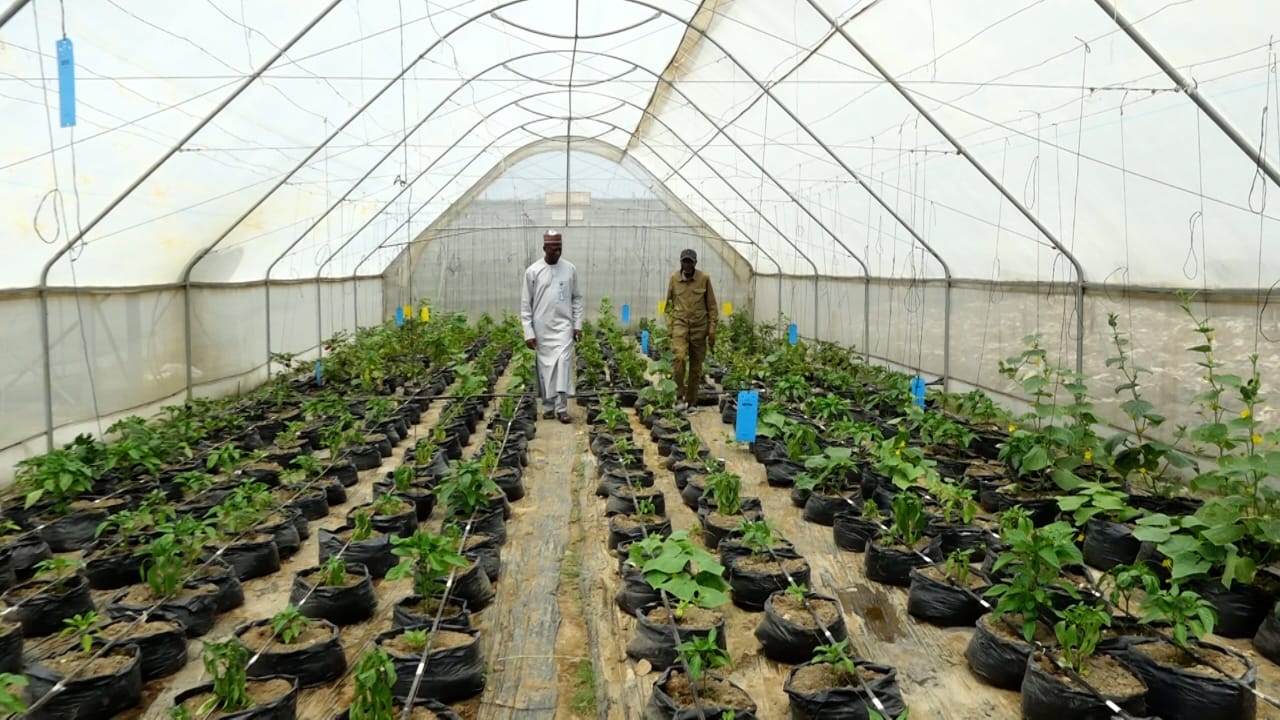 Go into agro-business for sustainable employment- Gotomo