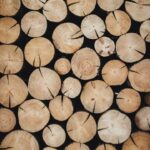 MAN urges stronger engagement to modernise wood industry