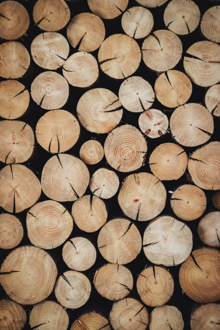 MAN urges stronger engagement to modernise wood industry