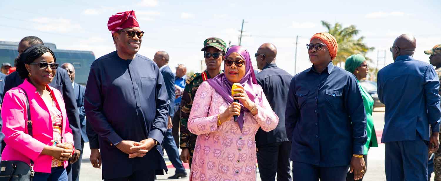 Tanzania honours Adesina for transforming national economy
