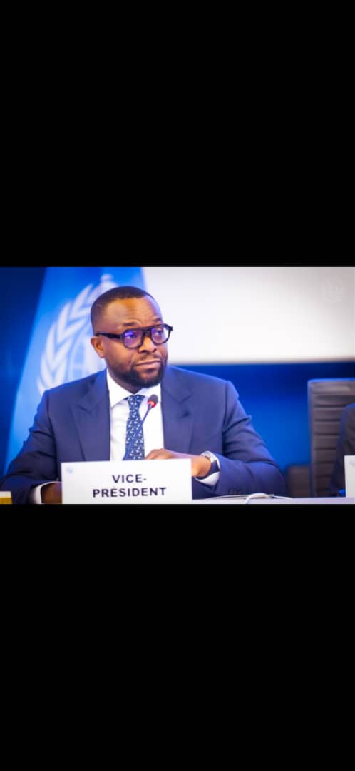 Tijani elected ITU’s vice-chair in Geneva
