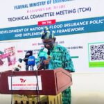 FG adopts national policy to tackle flood disasters Flood