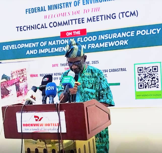 FG adopts national policy to tackle flood disasters Flood