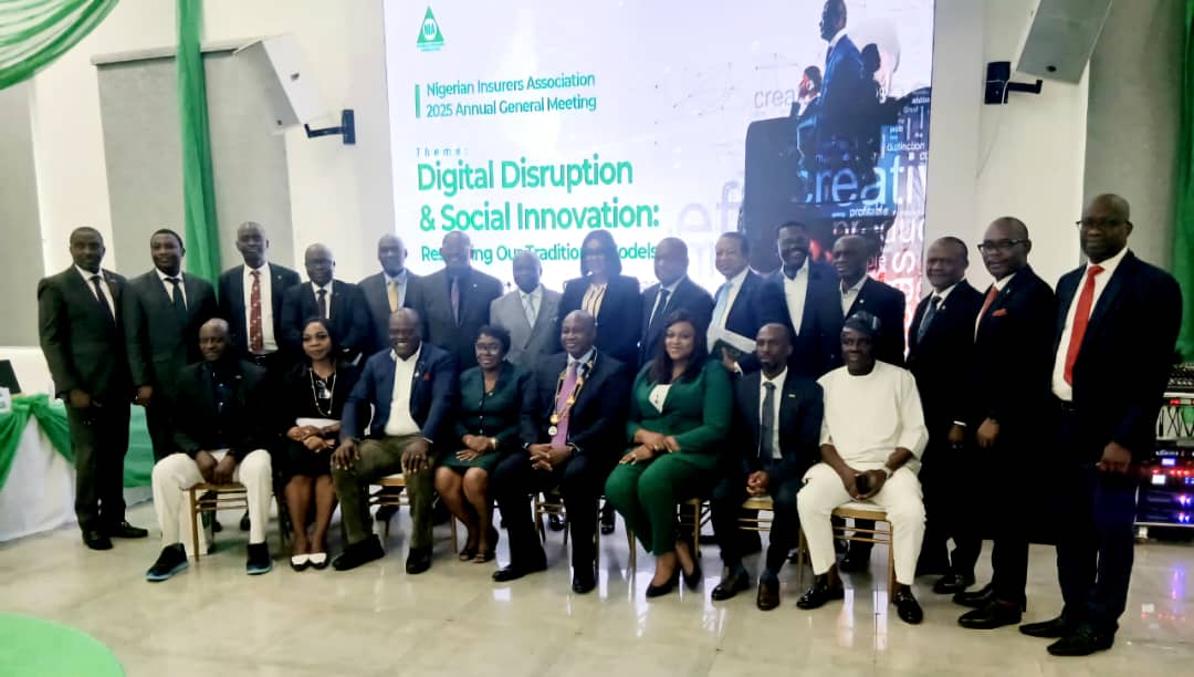 Nigerian insurance industry written premium hits N1.5trn in 2024-NIA 