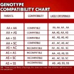 Why Genotype Compatibility matters in Sickle Cell prevention